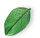 https://www.mycleaners.us/wp-content/uploads/2025/07/floating_leaf_01.png